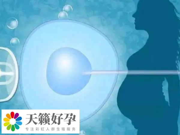 國內(nei) 禁止單身試管嬰兒(er) 實施