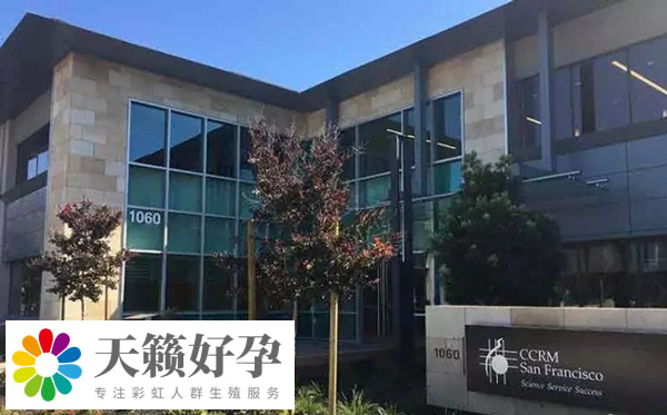 美國支持單身試管嬰兒(er) 