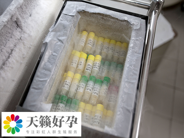 單身在國內(nei) 做試管不合法