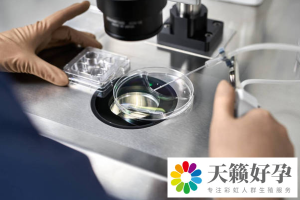 第三代試管嬰兒(er) 成功率高不高