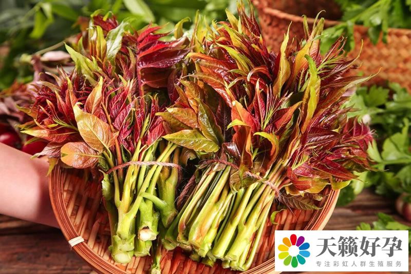春天推薦吃這4種野菜 如何正確食用？
