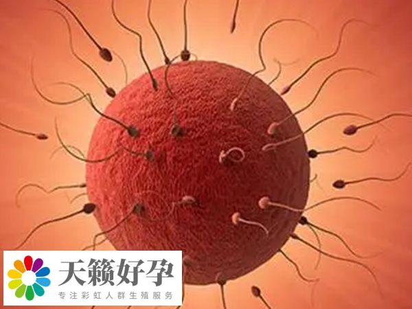 自然受孕的妊娠率約為(wei) 50%