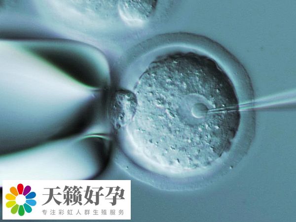 胚胎著床時間通常為(wei) 7-14天