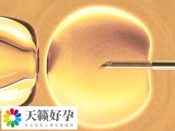 促排卵質量差可能是垂體(ti) 問題