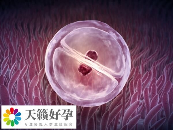 試管移植失敗要注意調整積極向上的心情