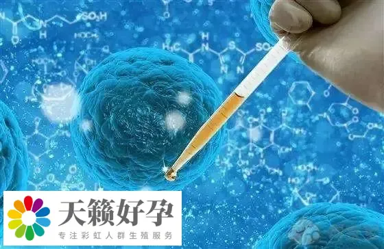 做試管嬰兒(er) 選擇醫院重要嗎，這幾點是必須要了解清楚