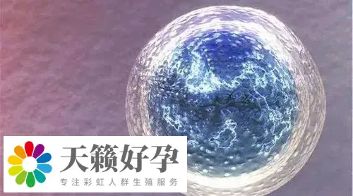 助孕機構做三代試管產(chan) 子多少錢，費用清單新鮮出爐