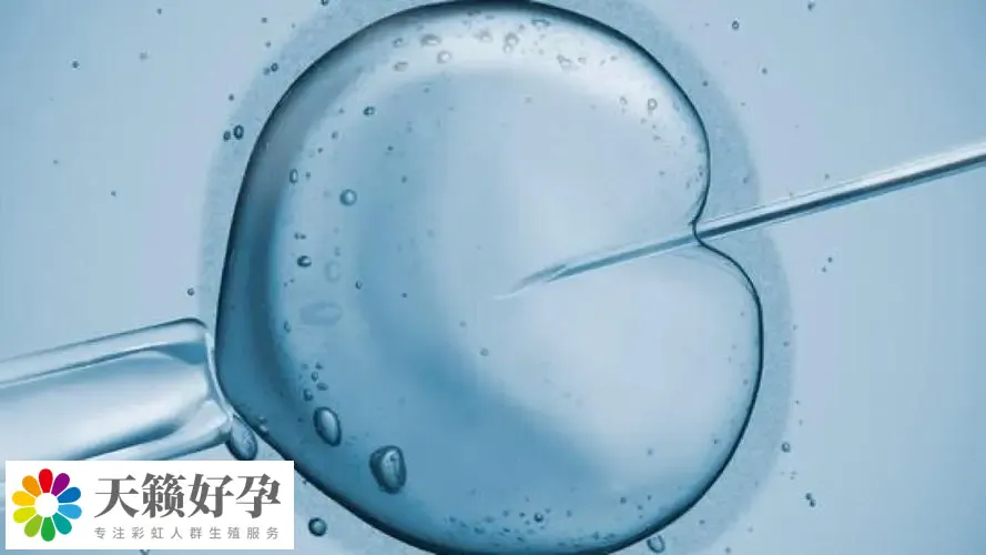 助孕機構做三代試管產(chan) 子多少錢，費用清單新鮮出爐