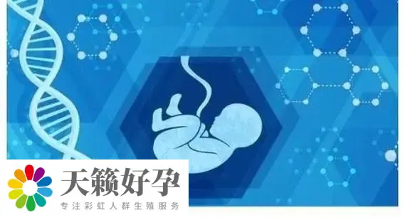 重慶女同可以做試管嬰兒(er) 的機構有哪些?費用大概需要多少?