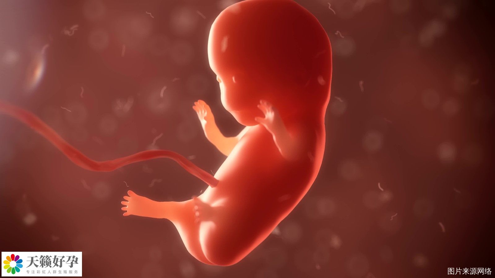 重慶女同可以做試管嬰兒(er) 的機構有哪些?費用大概需要多少?