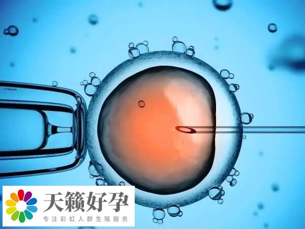 試管嬰兒助孕的條件有哪些
