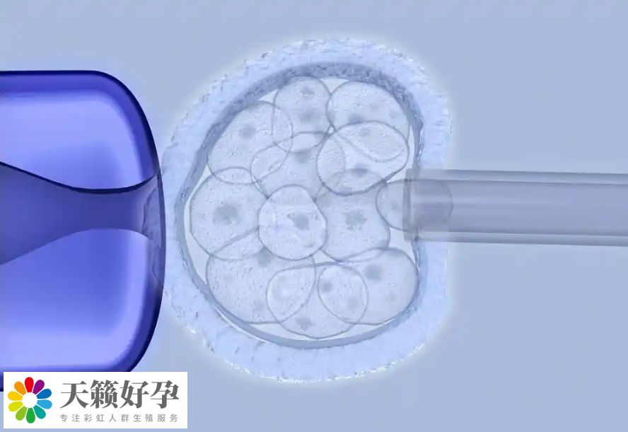 倆(lia) 個(ge) 女人做試管采用什麽(me) 方案?附女同廣州三代試管具體(ti) 收費標準