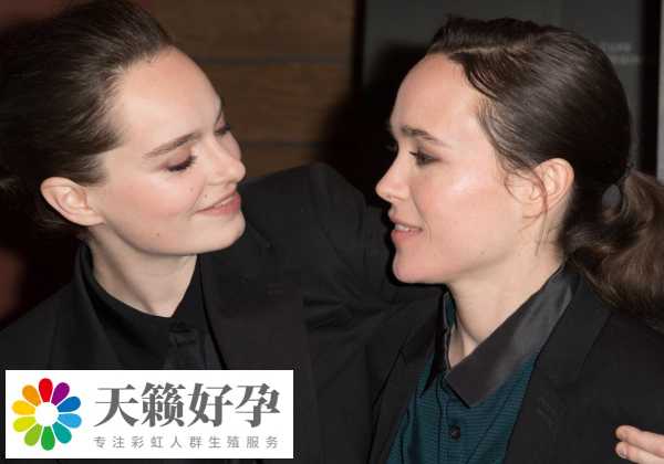 les不能去泰國做試管