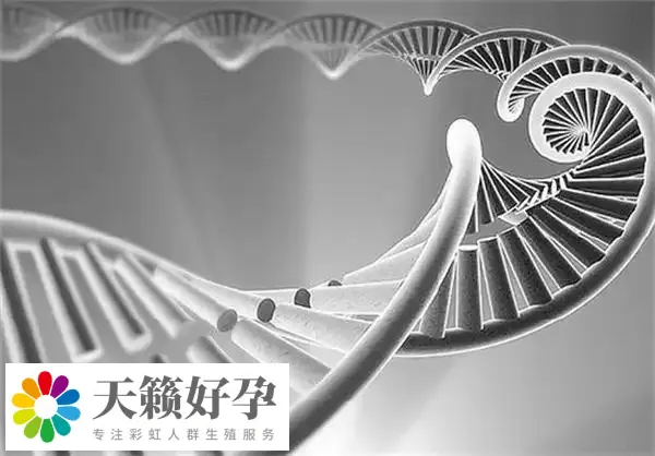 倆(lia) 個(ge) 女人做試管能懷孕嗎?附女同廣州供精三代試管費用介紹