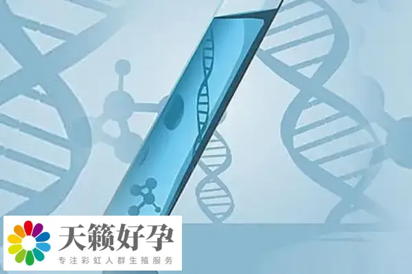 倆(lia) 個(ge) 女人做試管能懷孕嗎?附女同廣州供精三代試管費用介紹