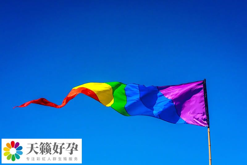 我國腦圖譜研究邁出關鍵一步