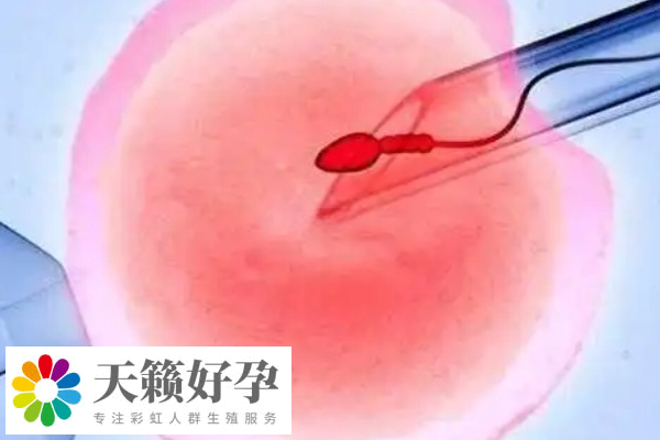 泰國的高齡試管技術備受關(guan) 注