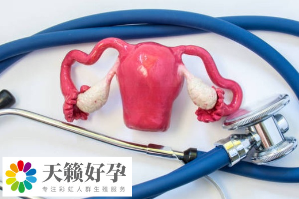 反複胎停做試管成功率在40%-60%