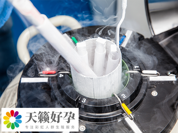 大齡三代和二代試管成功率對比