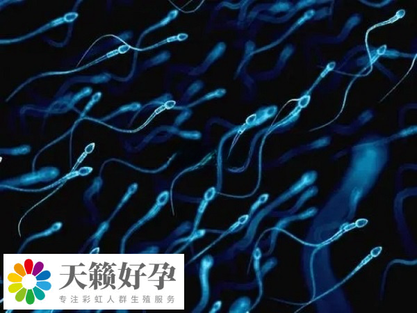 精子數目過低適用於(yu) 二代試管