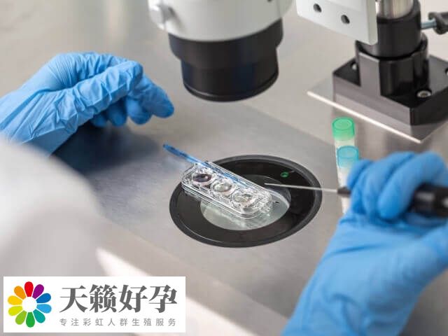 試管助孕時間約為(wei) 2-3個(ge) 月