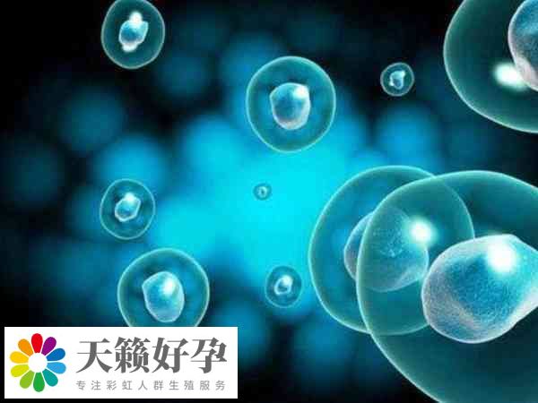 促排卵效果因人而異