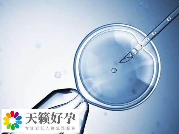 試管治療嚐試次數越多成功率也不一定高