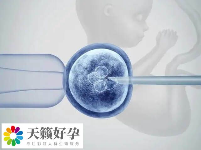 試管嬰兒(er) 的次數在理論上沒有嚴(yan) 格的限製