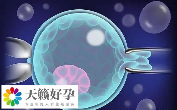 試管治療期間要注意改善生活習(xi) 慣