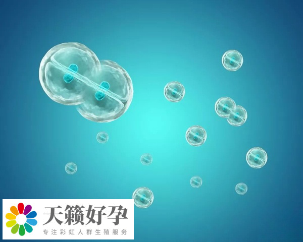 胚胎移植的數量受到嚴(yan) 格的控製