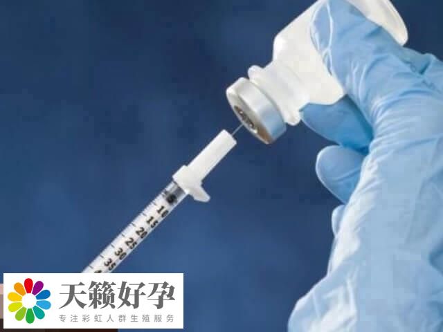 試管嬰兒(er) 有6種促排卵方案