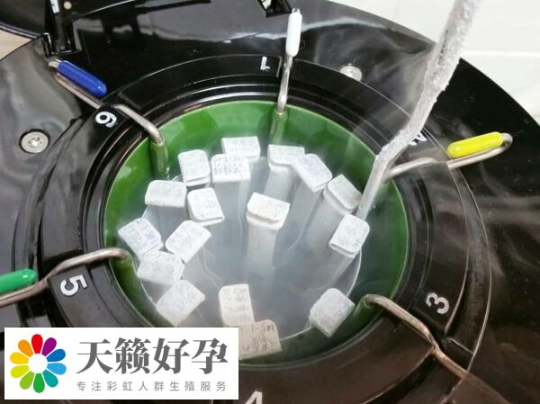 凍胚解凍複蘇率約90%