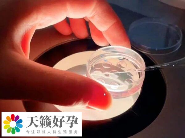 試管移植後胸脹是不是好兆頭