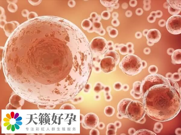 胚胎細胞數量6-10都是正常的