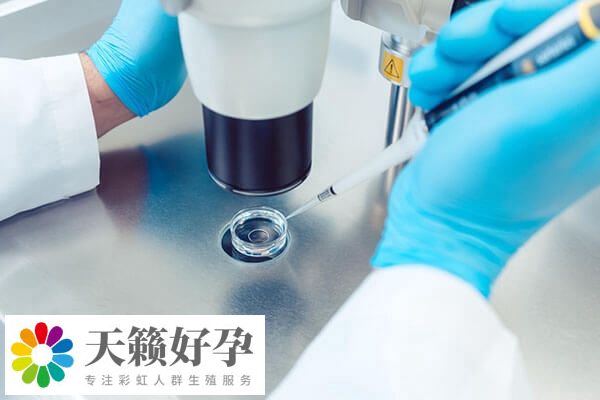 囊胚培養(yang) 是優(you) 勝劣汰的方式
