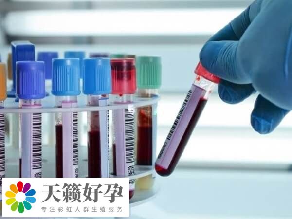 鮮胚移植14天可前往醫院抽血驗孕