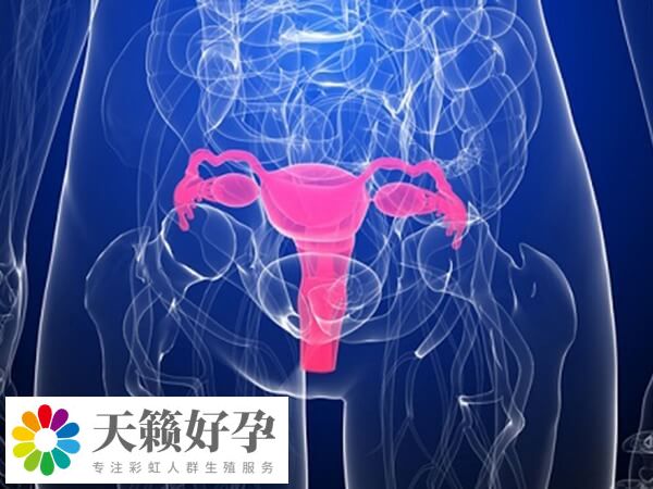 宮腔環境差會(hui) 影響鮮胚移植著床率