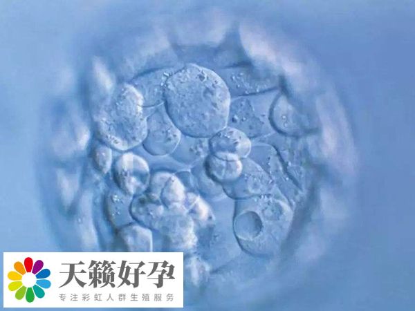 三級鮮胚質量相對較差