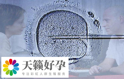 試管嬰兒促排卵方案選擇，沒有月經也能助你好孕