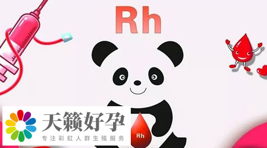 世界十大稀有血型盤點，感興趣的都來看看分別是哪幾種