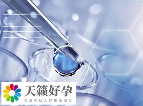 天津不孕不育醫院做三代試管嬰兒生子的成功率怎麽樣?