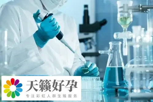 去北京做三代試管嬰兒生子醫院做三代試管嬰兒生子大概要多少錢?