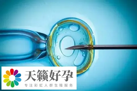 上海不孕不育醫院和生子醫院做三代試管嬰兒生子哪個醫院好