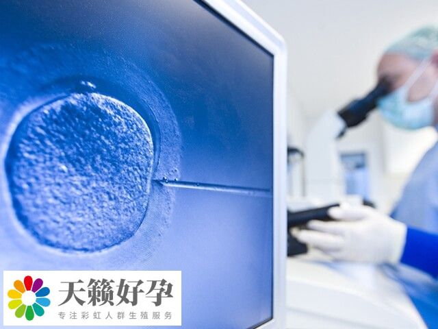 三代試管技術的核心是篩選出最優(you) 質胚胎