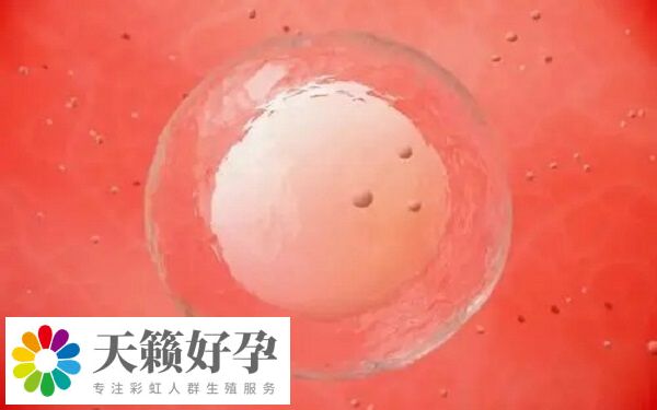 胚胎冷凍是試管治療中比較常見的治療手段