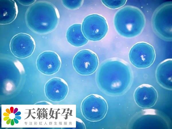 凍卵技術並非適合所有人群