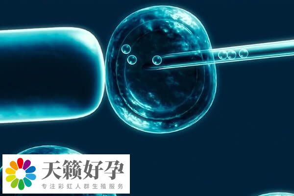 移植後的胚胎是呈現為(wei) 遊離的狀態的