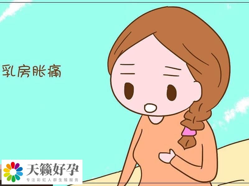 胚胎成功著床會(hui) 引起胸脹痛