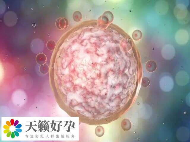 囊胚評級中的4BB帶一個(ge) 減號屬於(yu) 中等質量囊胚