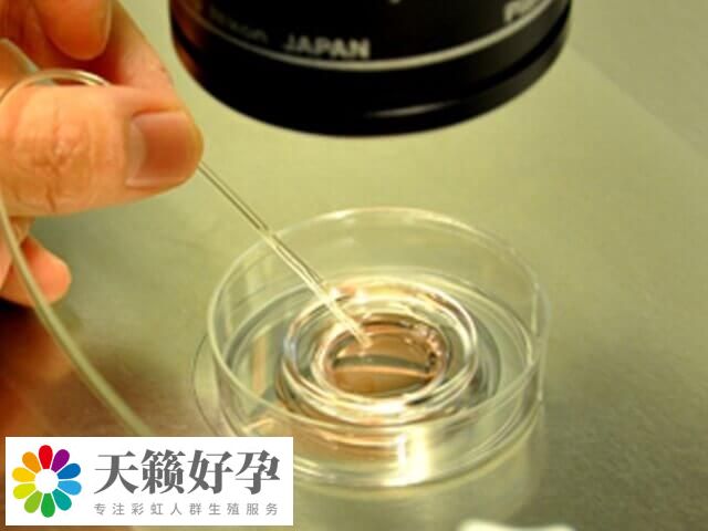 染色體(ti) 平衡易位是指兩(liang) 個(ge) 染色體(ti) 斷裂後相互交換位置